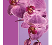 Цвет Орхидея – самый модный в 2014