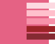 сочетание цвета 2011 с оттенками розового и красного