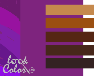 сочетание пурпура с коричневым