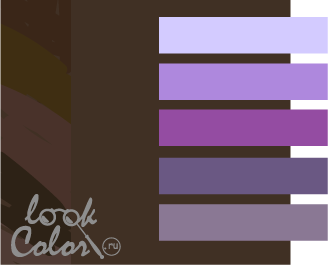 сочетание коричневого с фиолетовым