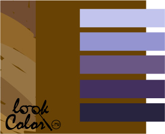 Золотисто-коричневый сочетается с фиолетовым