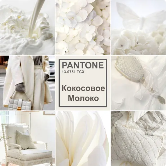 Модный белый Кокосовое Молоко PANTONE 11-0608 TCX