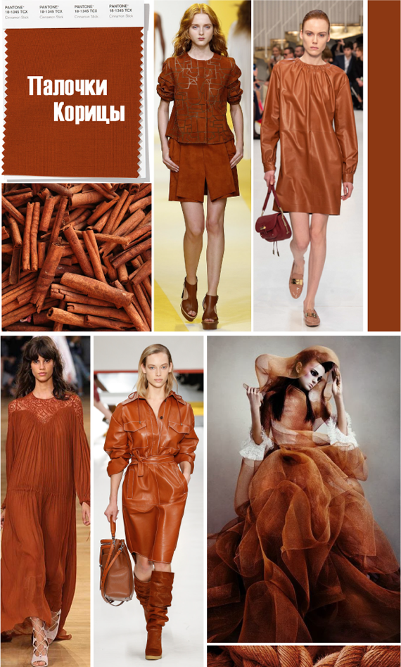 Модный коричневый цвет PANTONE 18-1345 Cinnamon Stick Палочки Корицы