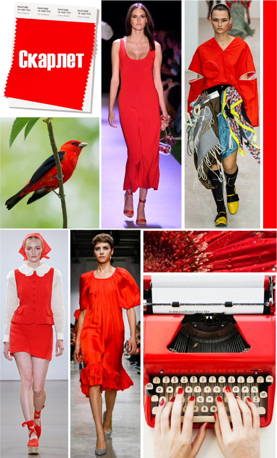 Модный ярко-красный цвет PANTONE 18-1662 Flame Scarlet Скарлет