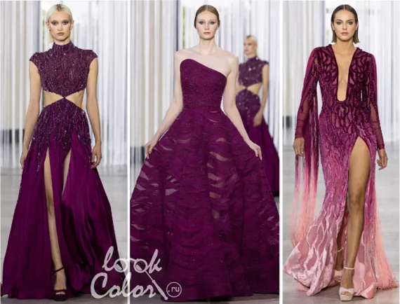 Модный цвет Нового Года 2024 – Каспийская Слива