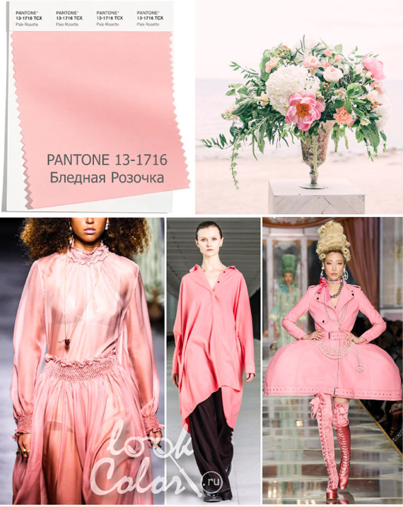 Модный бледно-розовый: PANTONE 13-1716 Бледная Розочка