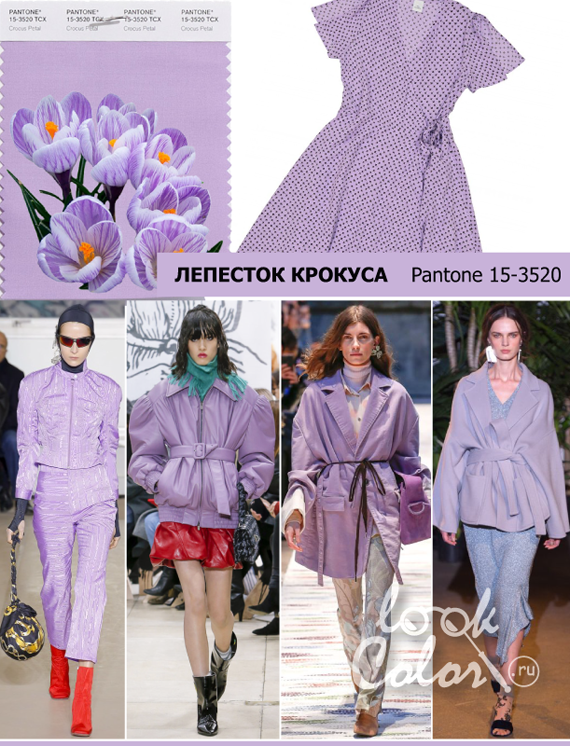 Модный цвет осень-зима 2018-2019 PANTONE 15-3520 Лепесток Крокуса (Crocus Petal)