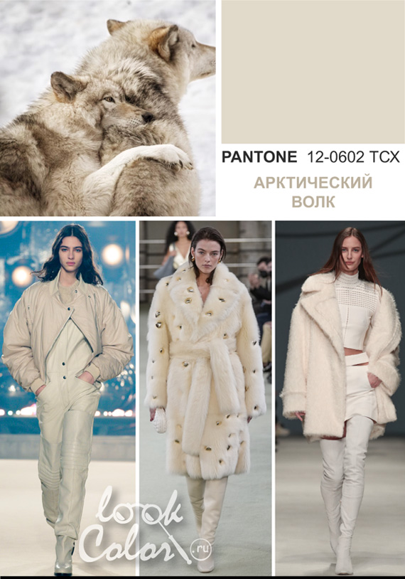 Модный белый: PANTONE 12-0602 Арктический Волк