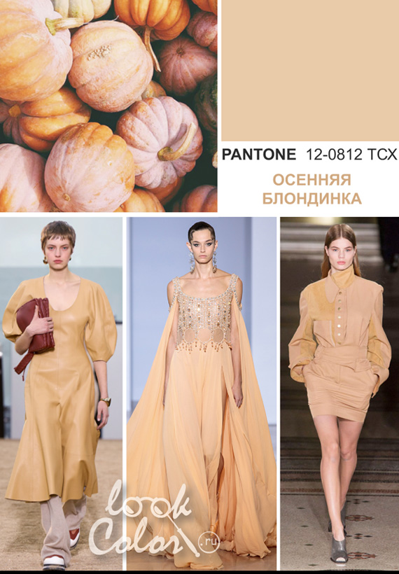 Модный оранжево-бежевый: PANTONE 12-0813 Осенняя Блондинка