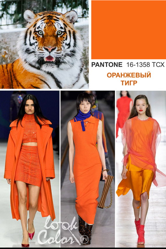 Модный оранжевый: PANTONE 16-1358 Оранжевый Тигр