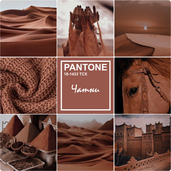 Модный коричневый — Чатни (PANTONE® 18-1433 TCX)