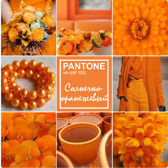 Модный оранжевый — Солнечно-оранжевый (PANTONE 16-1257 TCX)
