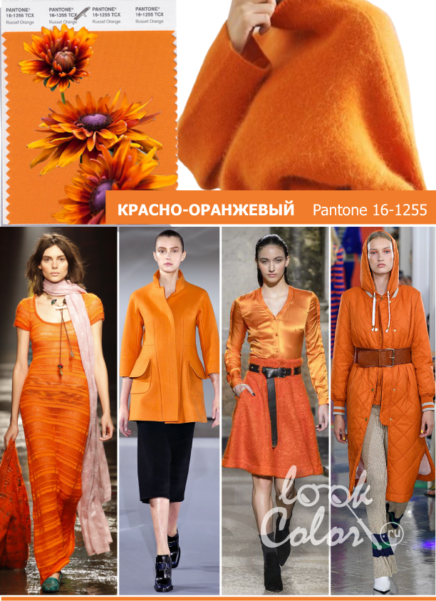 Модный цвет осень-зима 2018-2019 PANTONE 16-1255 красно-оранжевый (Russet Orange)