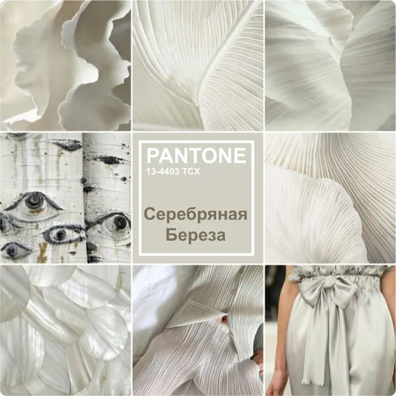 Модный белый Серебряная Береза PANTONE 13-4403 TCX