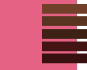 сочетание цвета 2011 с оттенками коричневого