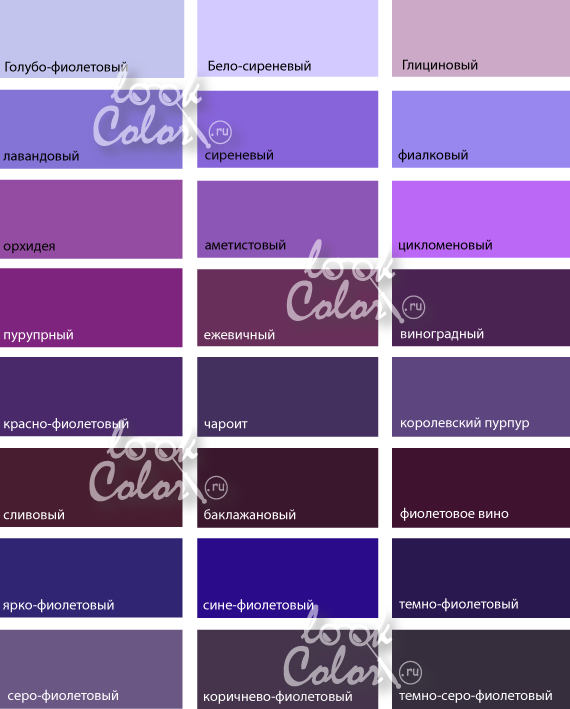 Фиолетовый цвет - значение, применение, сочетание | LOOKCOLOR