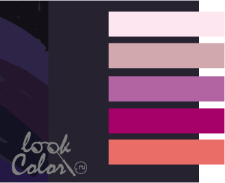 сочетание фиолетово-черного цвета с розовым
