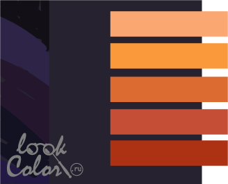 сочетание фиолетово-черного цвета с оранжевым