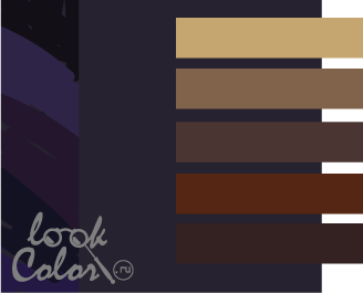 сочетание фиолетово-черного цвета с коричневым