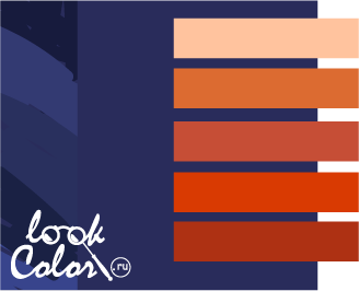 сочетание фиолетово-синего цвета с оранжевым