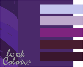 сочетание красно-фиолетового цвета с фиолетовым