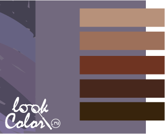 Серо-фиолетовый цвет сочетается с коричневым