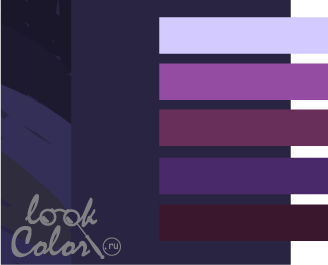 сочетание темно-фиолетового цвета с фиолетовым