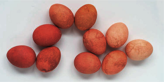 Как получить красный цвет в покраске пасхальных яиц