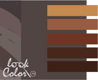 Сочетание серо-коричневого цвета (тауп) с коричневым