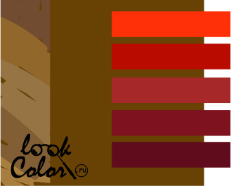 Золотисто-коричневый сочетается с красным