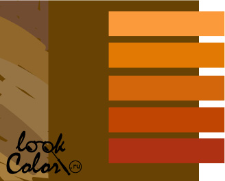 Золотисто-коричневый сочетается с оранжевым