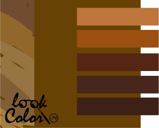 Золотисто-коричневый сочетается с коричневым