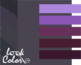 сочетание цветов антрацитовый и фиолетовый