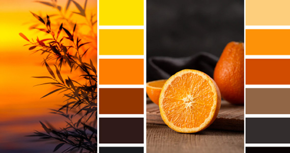 Апельсиновый цвет сочетается в палитрах