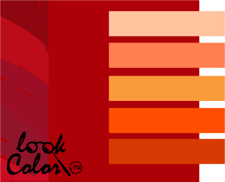 сочетание цветов темно-красный и оранжевый