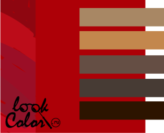 сочетание цветов темно-красный и коричневый
