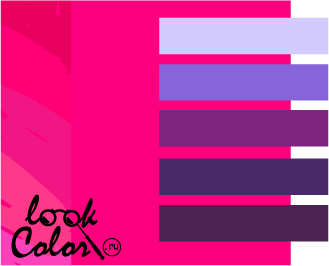 сочетание ярко-розового и фиолетовый