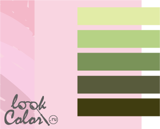 сочетание нежно-розового и зеленого