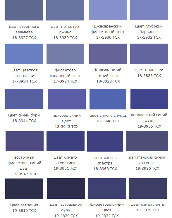 Оттенки сине фиолетового цвета фото