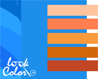 Сочетание серо-голубого и оранжевого