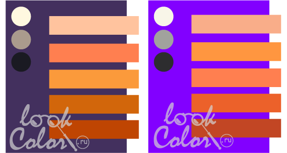 Сочетание фиолетового цвета в таблице. Фото | LOOKCOLOR