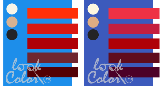 Сочетание синего цвета и его оттенков | LOOKCOLOR