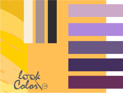 сочетание золотисто-желтого и оранжево-желтого с фиолетовым