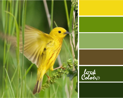 Сочетание зеленого и желтого цвета