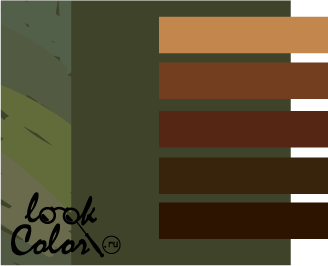 сочетание коричневого с болотным цветом