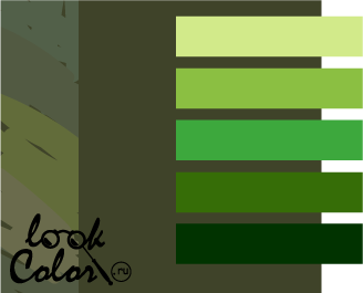 сочетание теплого зеленого с болотным цветом