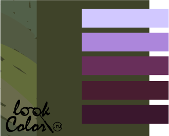 сочетание фиолетового с болотным цветом