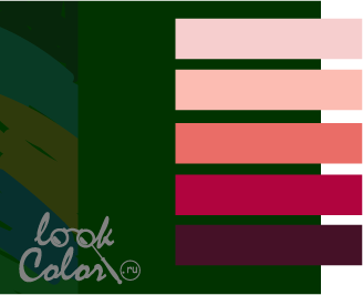 Сочетание темно-зеленого и розового